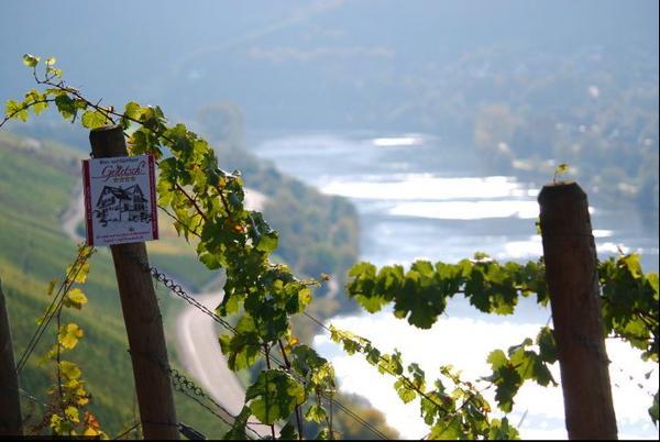 Wein- Und Gaestehaus Genetsch Лизер Экстерьер фото