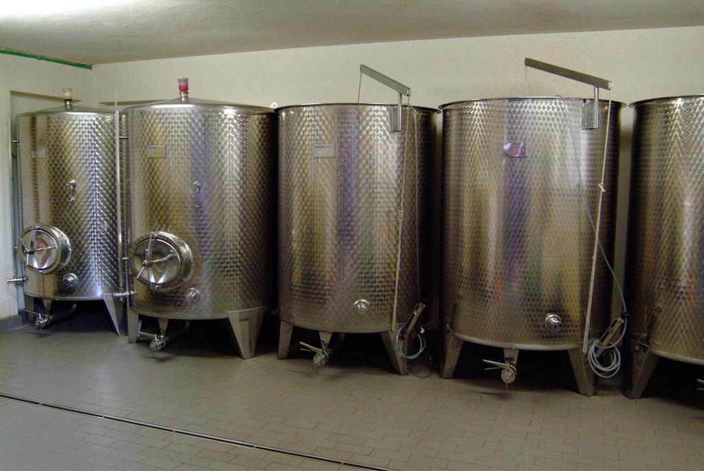 Wein- Und Gaestehaus Genetsch Лизер Экстерьер фото
