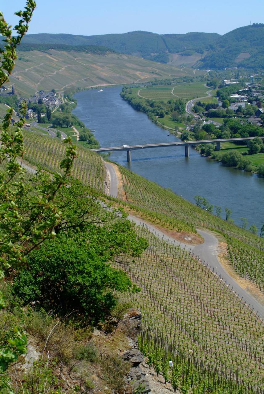 Wein- Und Gaestehaus Genetsch Лизер Экстерьер фото