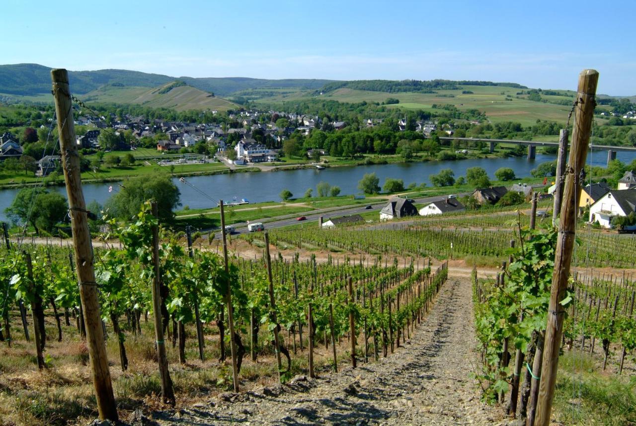 Wein- Und Gaestehaus Genetsch Лизер Экстерьер фото