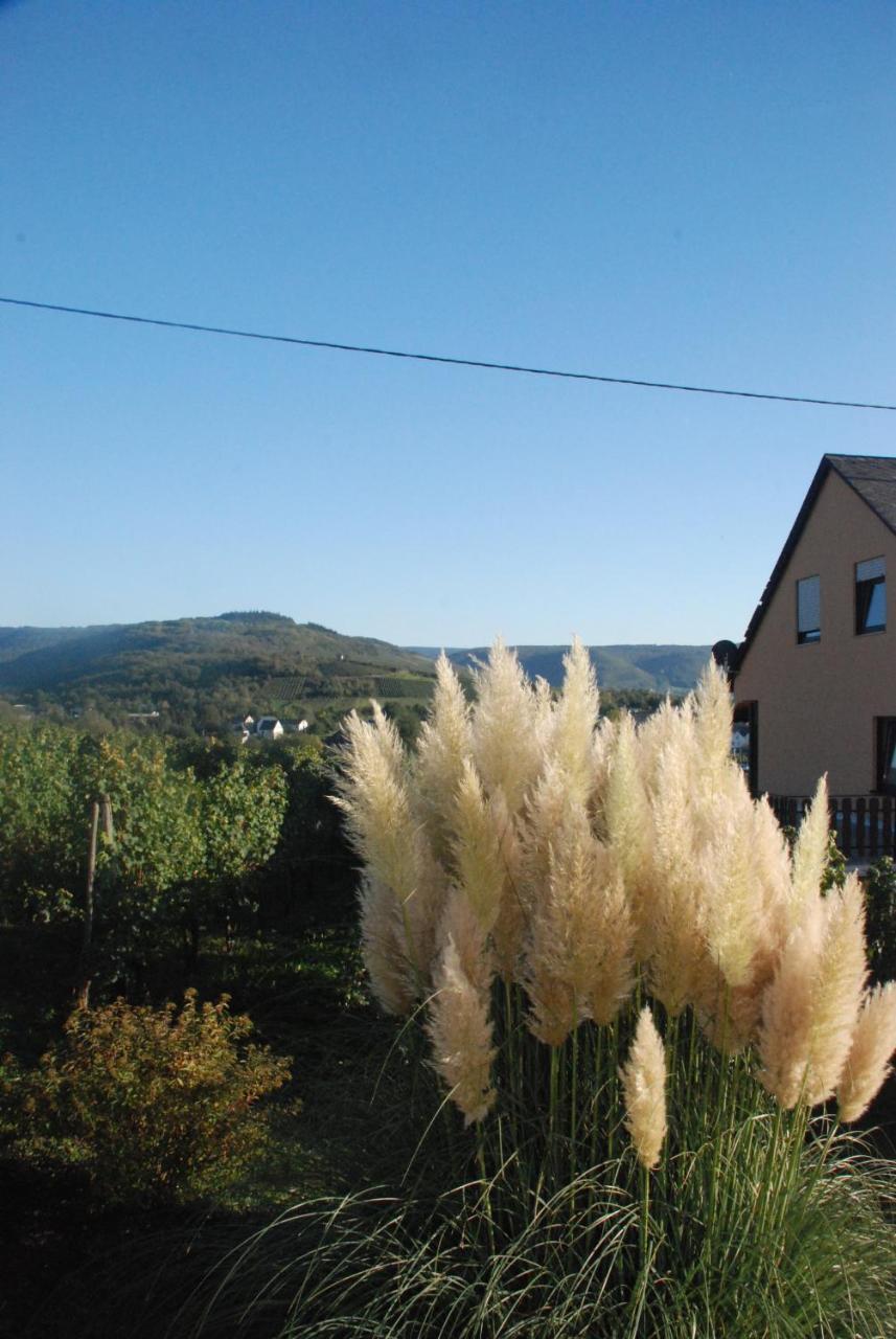 Wein- Und Gaestehaus Genetsch Лизер Экстерьер фото