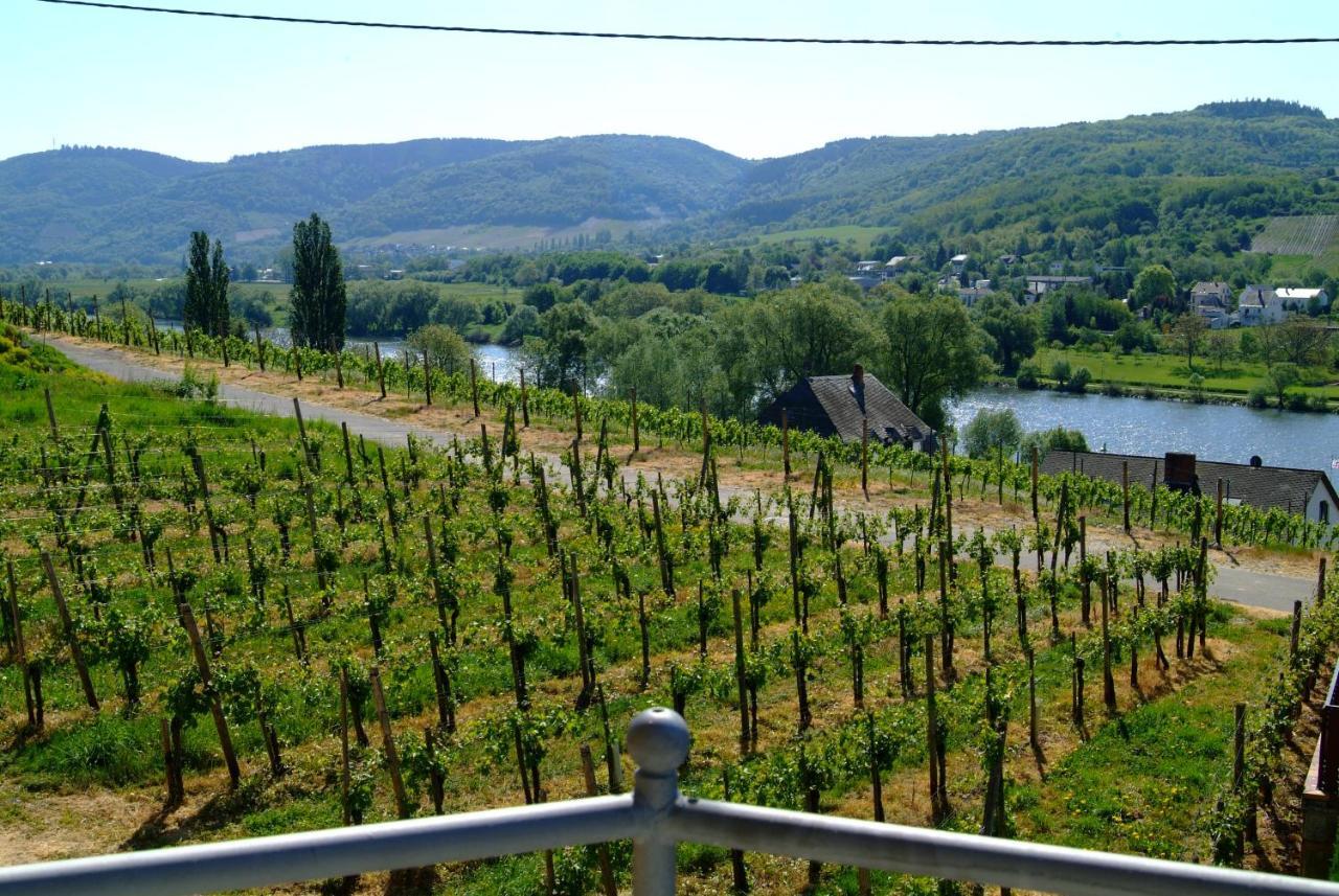 Wein- Und Gaestehaus Genetsch Лизер Экстерьер фото