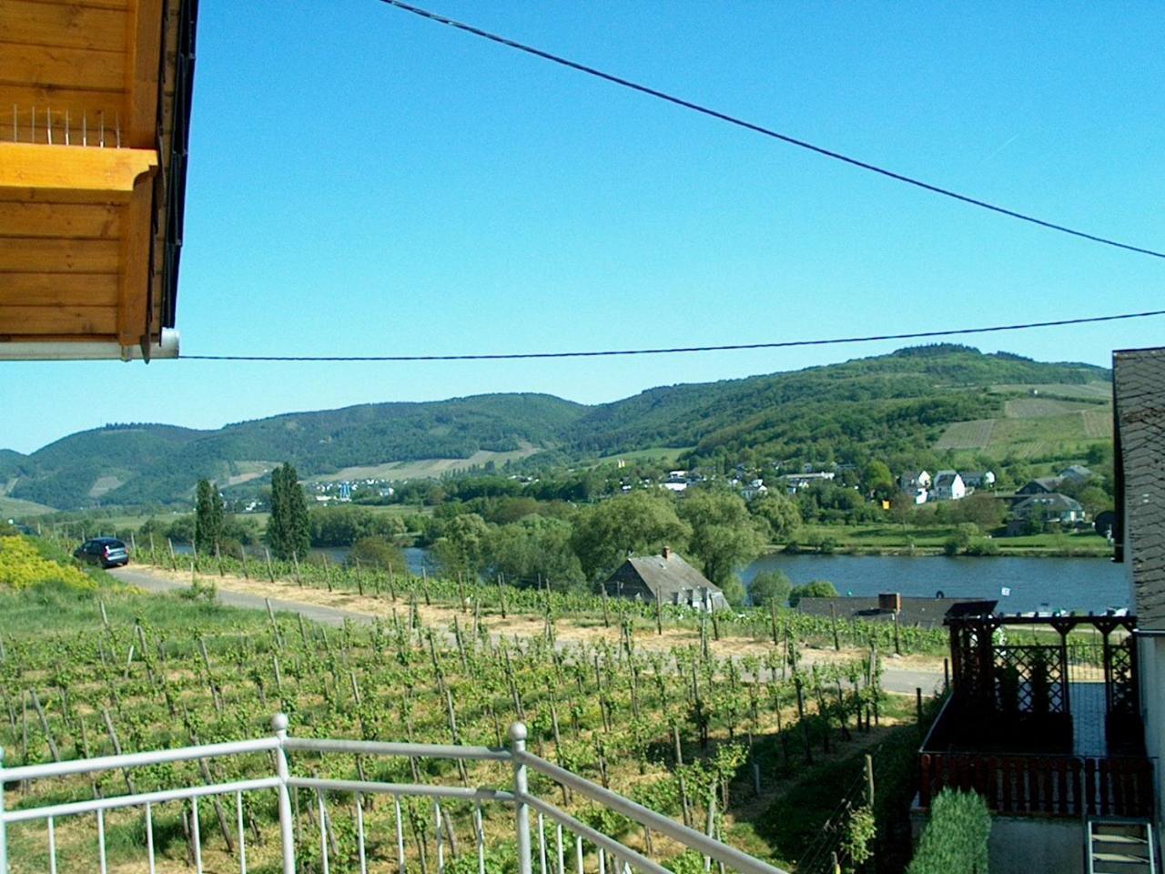 Wein- Und Gaestehaus Genetsch Лизер Экстерьер фото