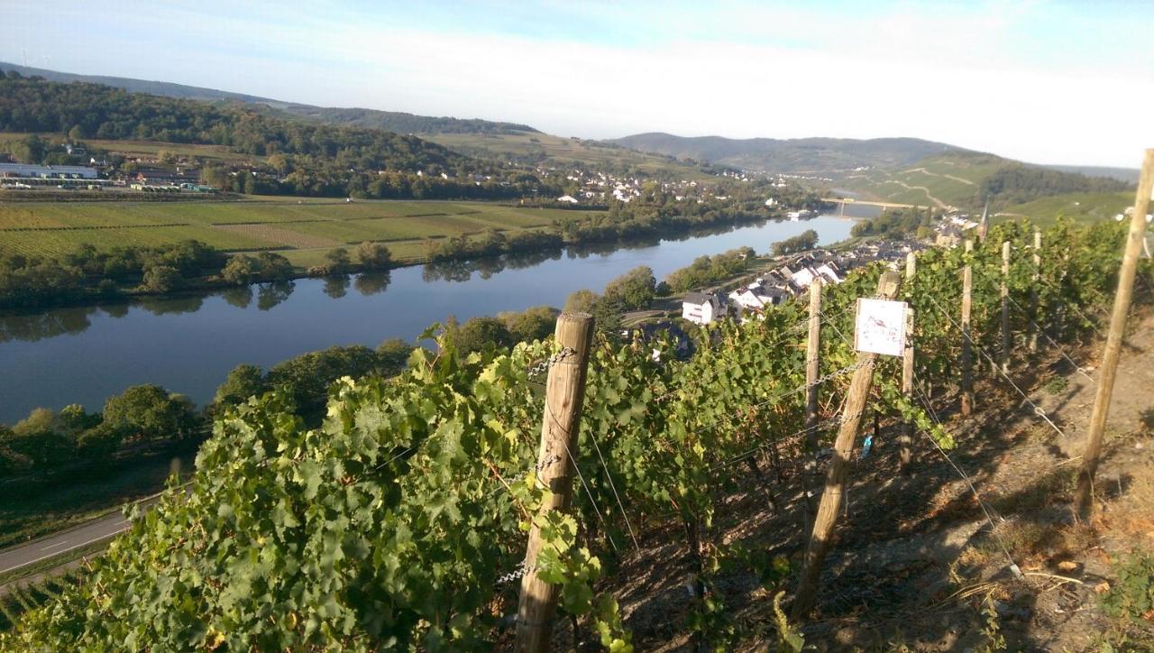 Wein- Und Gaestehaus Genetsch Лизер Экстерьер фото