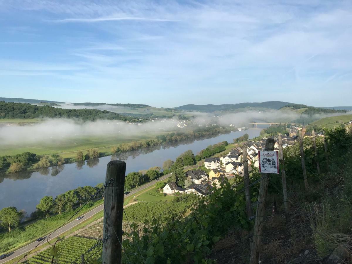Wein- Und Gaestehaus Genetsch Лизер Экстерьер фото